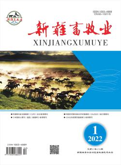 新疆畜牧业期刊